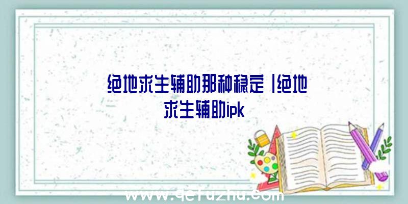 「绝地求生辅助那种稳定」|绝地求生辅助ipk